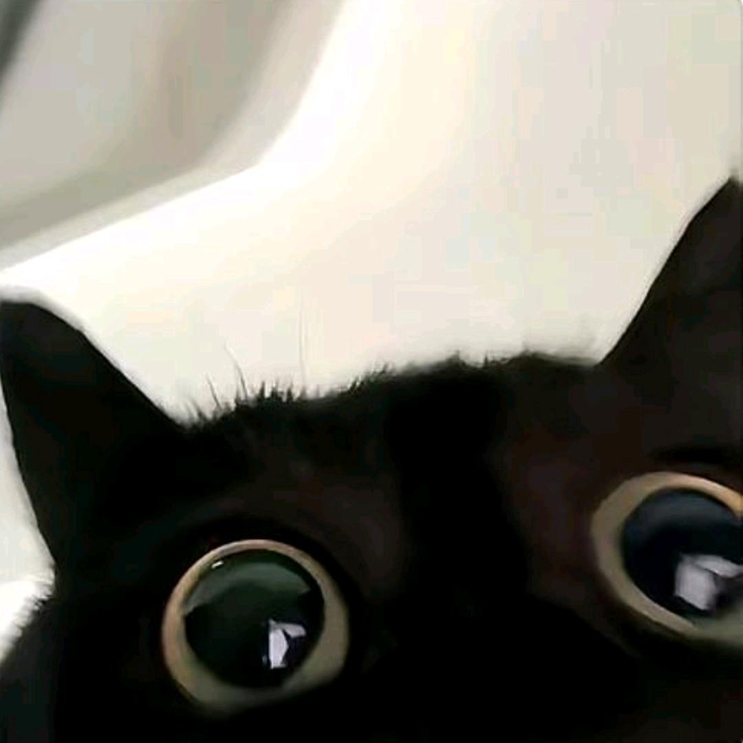 鱼不醉