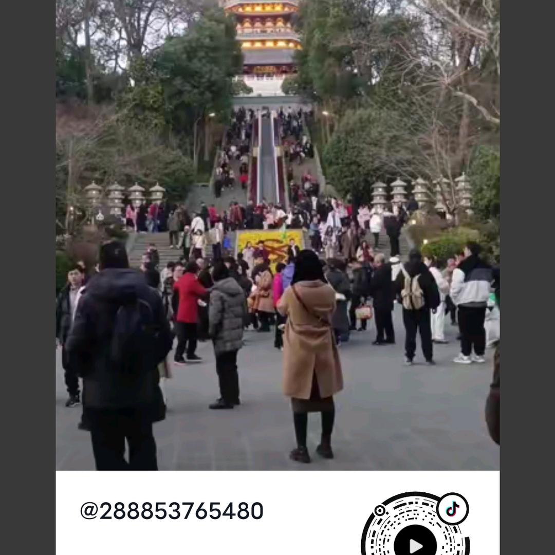 288853765480
