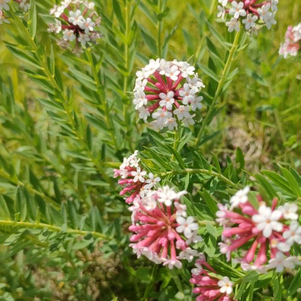 ¥¥¥融遐、💰💰💰