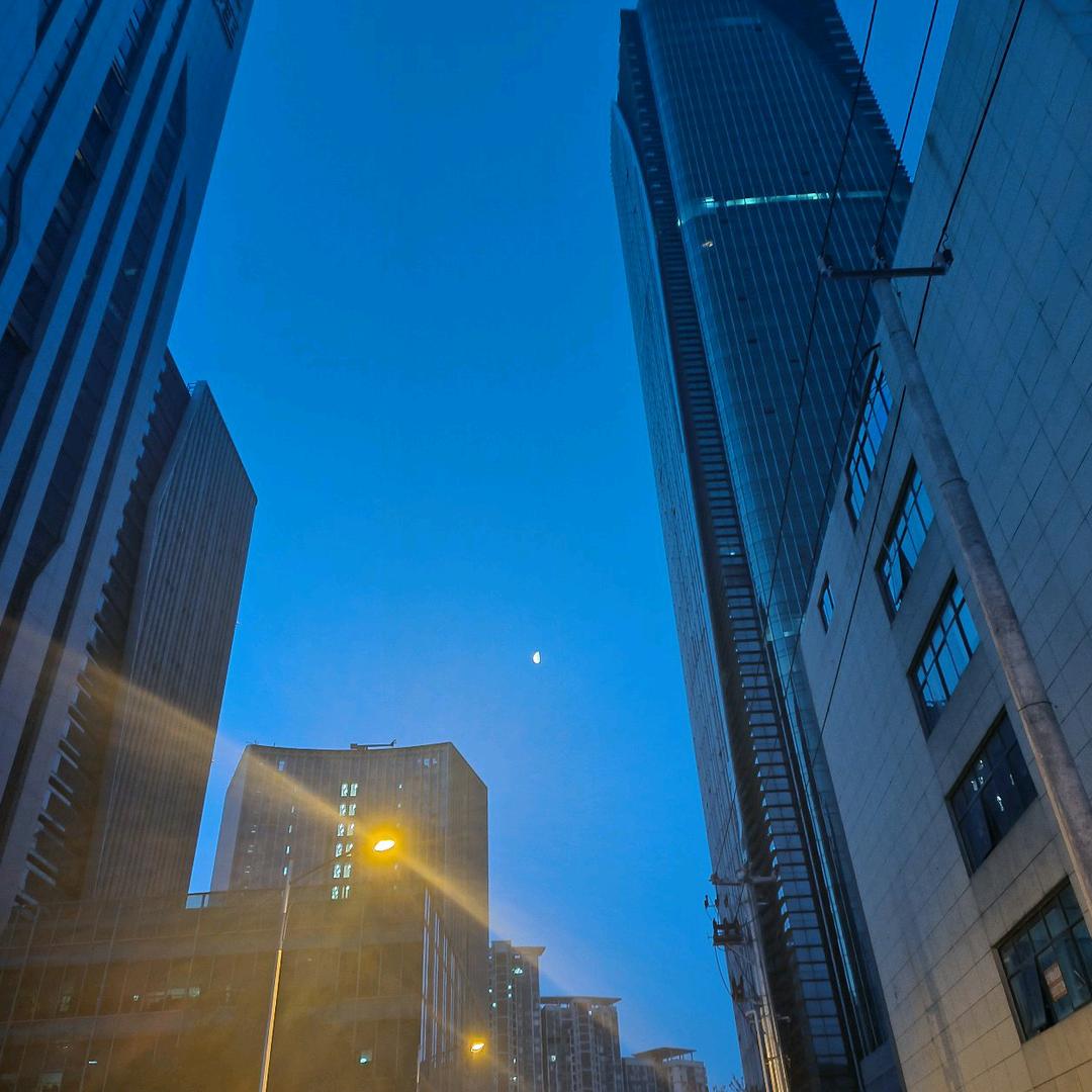 努力的活着