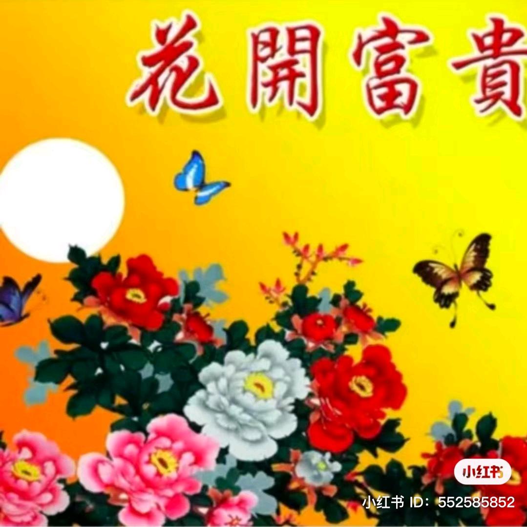 英姐🌹