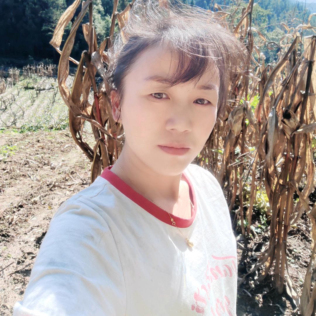 弓 长 的张