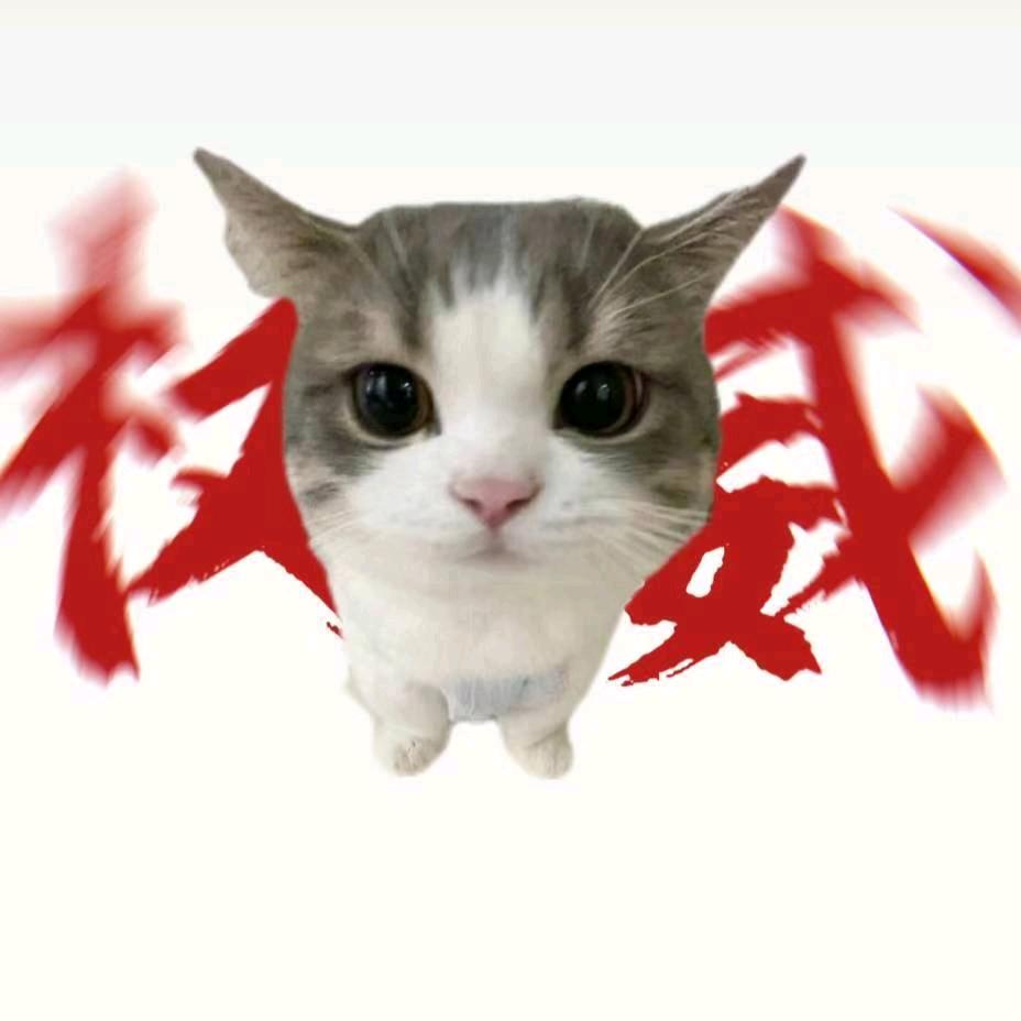 小阔耐Yi