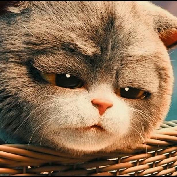 阜阳雨辰（教带货直播、带徒弟）