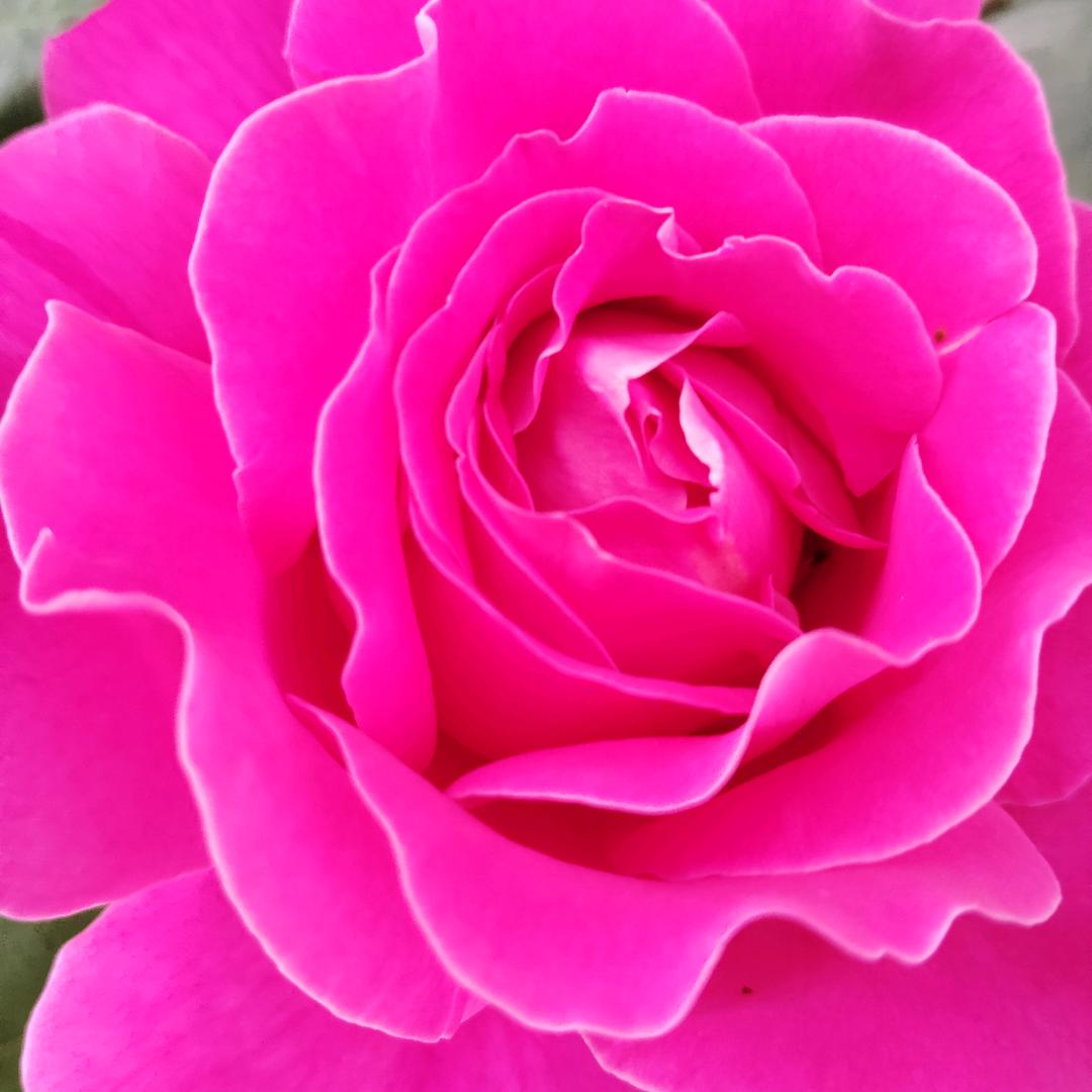 感情很贵，不要浪费