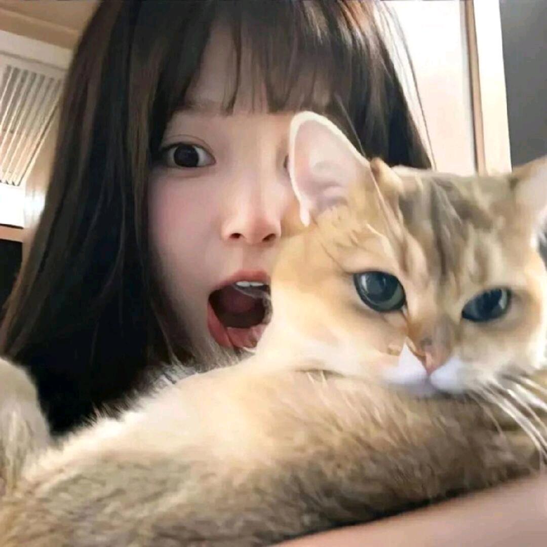 1摄氏度的爱