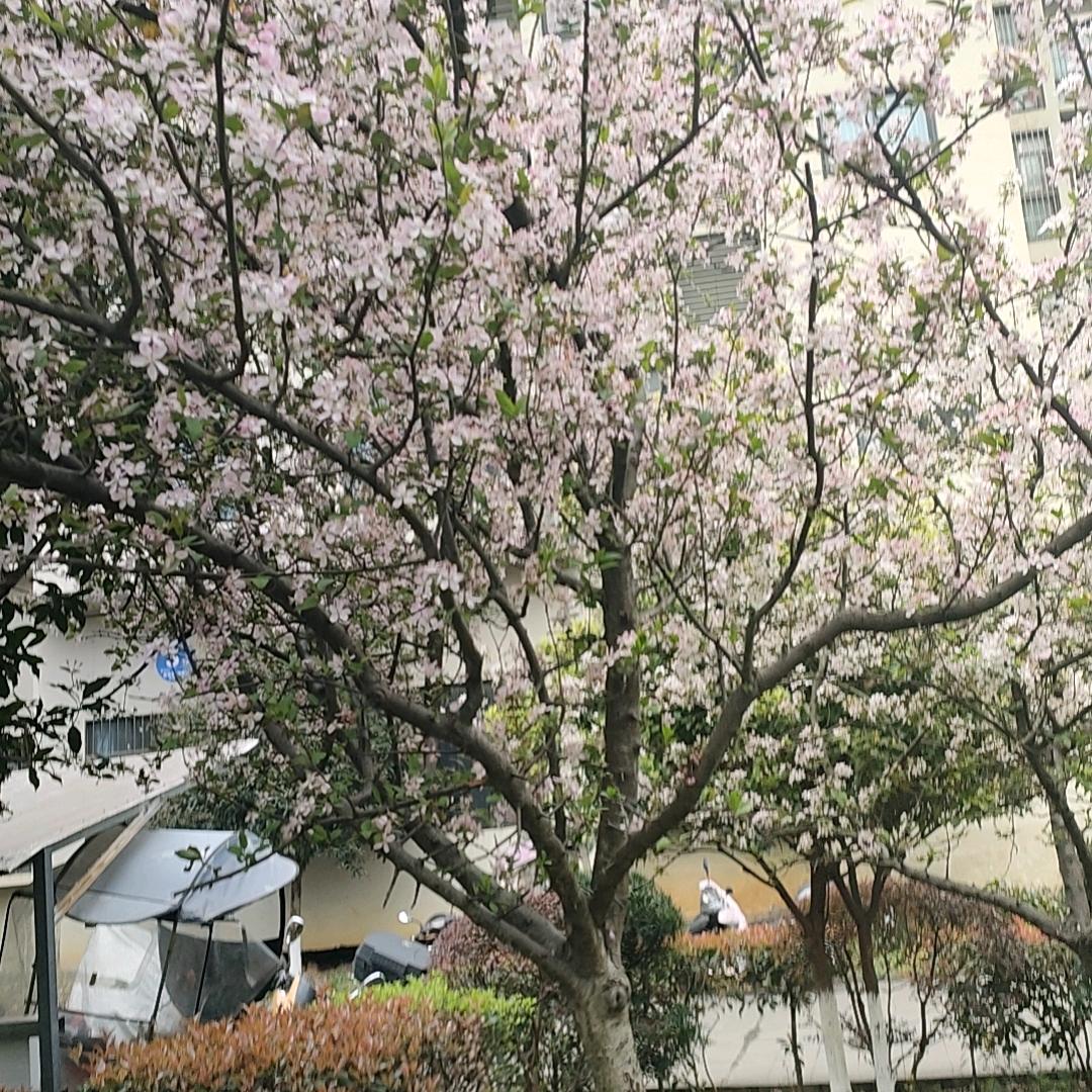阳光☀️☀️☀️