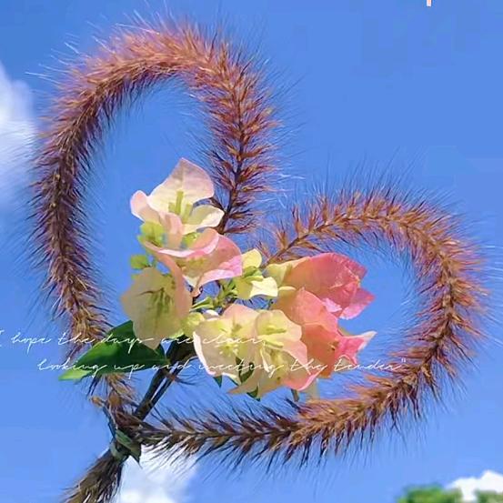 吖頭 @ 余生随心