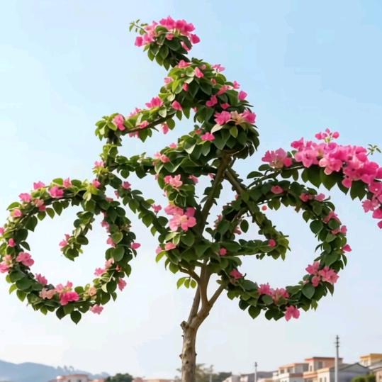 男人都是狼，何必要装羊。