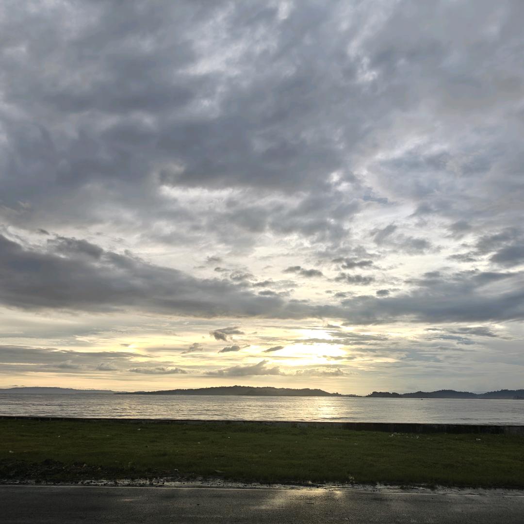 草莓种在鸭脖上