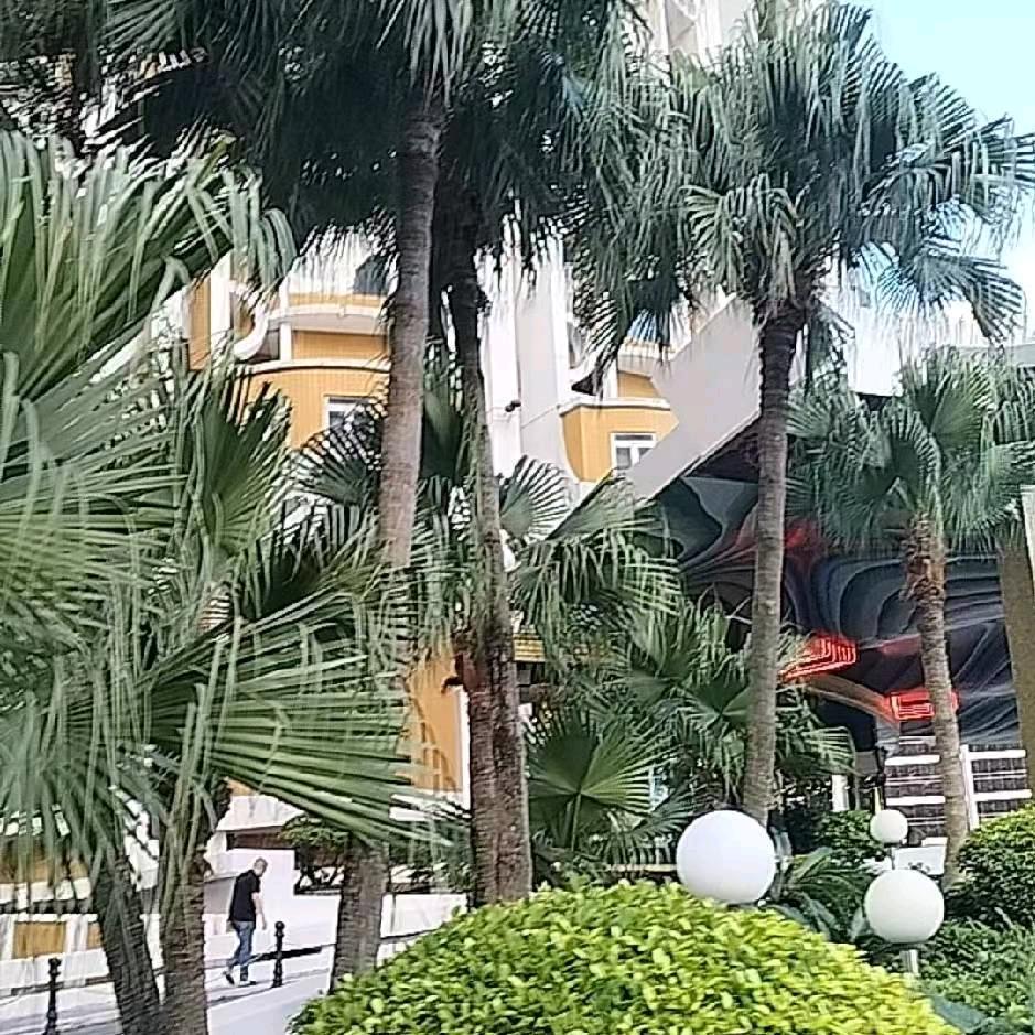 爱财爱已风声水起