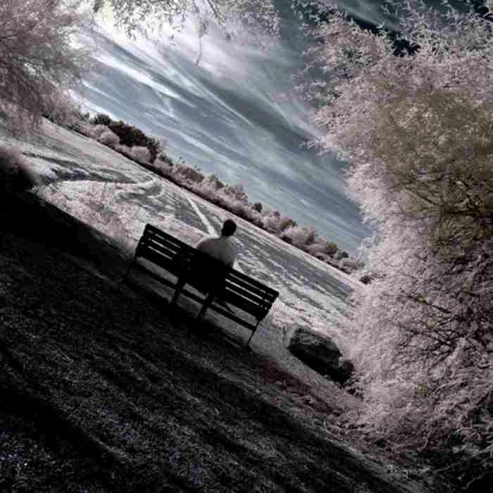 Z愿你忠于我、Y一生相爱、Q永不分离