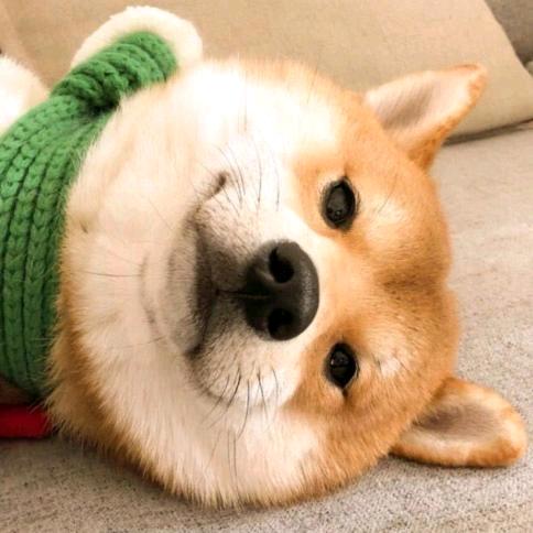 小九儿吖