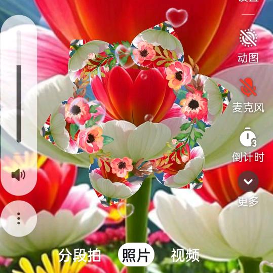 柳代平🌹黄金美🌹在苏州发展面条。