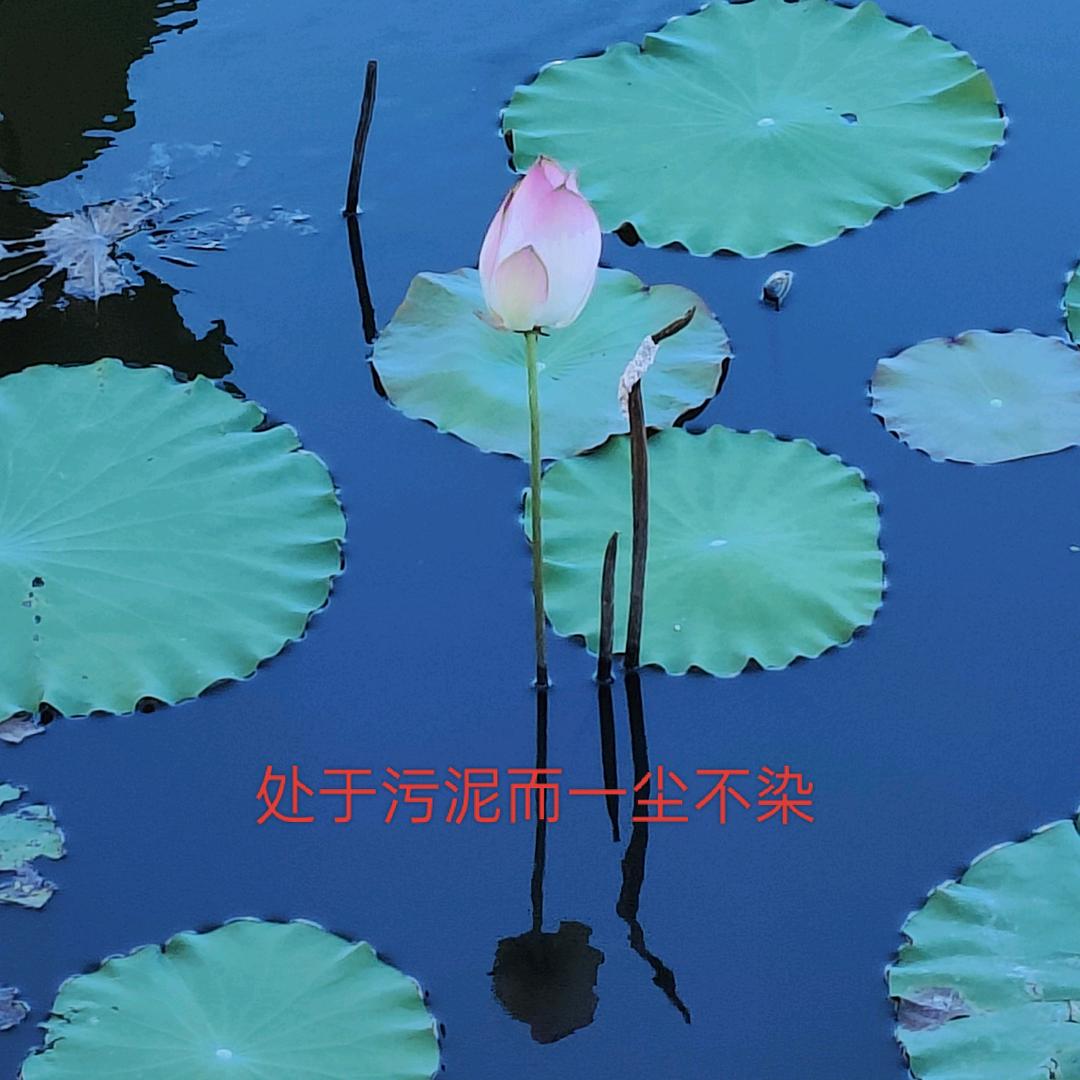 悦姐
