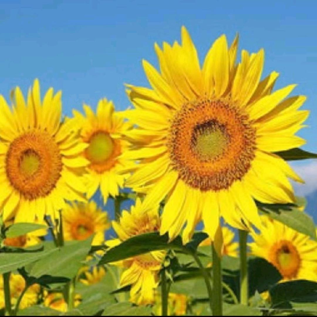 书香驿站（雁镕）