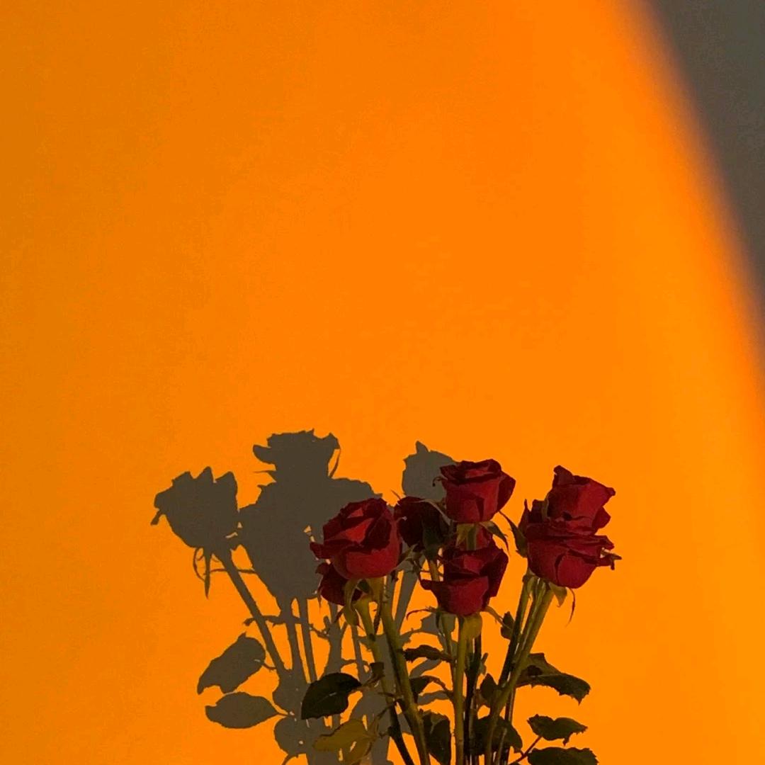 九娱-基百建筑专用号