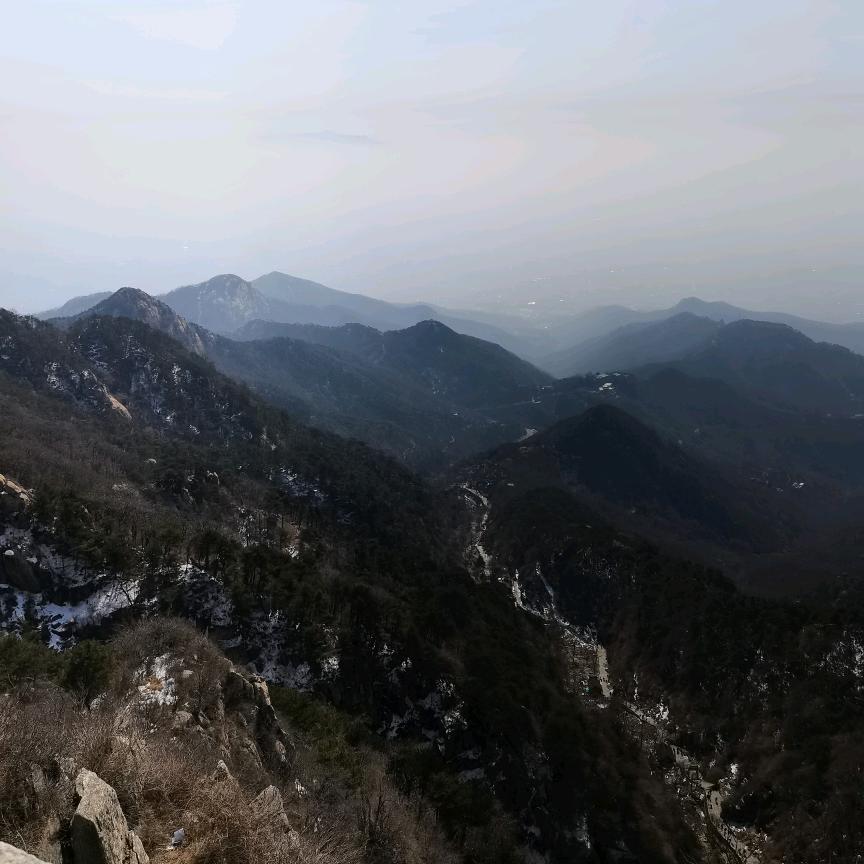 乌溜溜的星期八