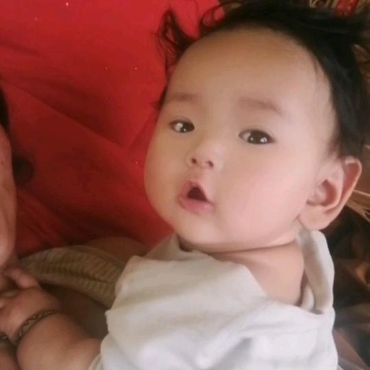 无怃的天堂