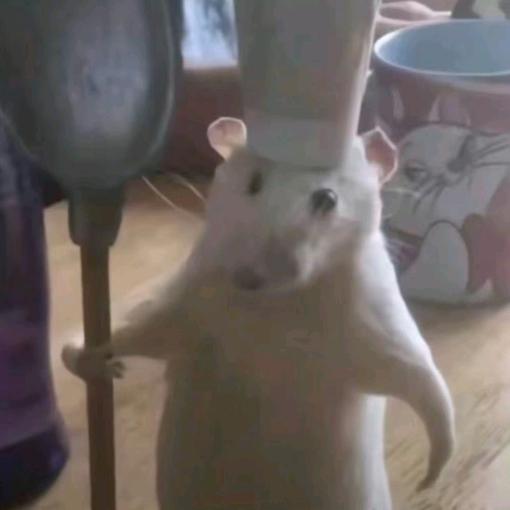 咸咸咸咸鱼