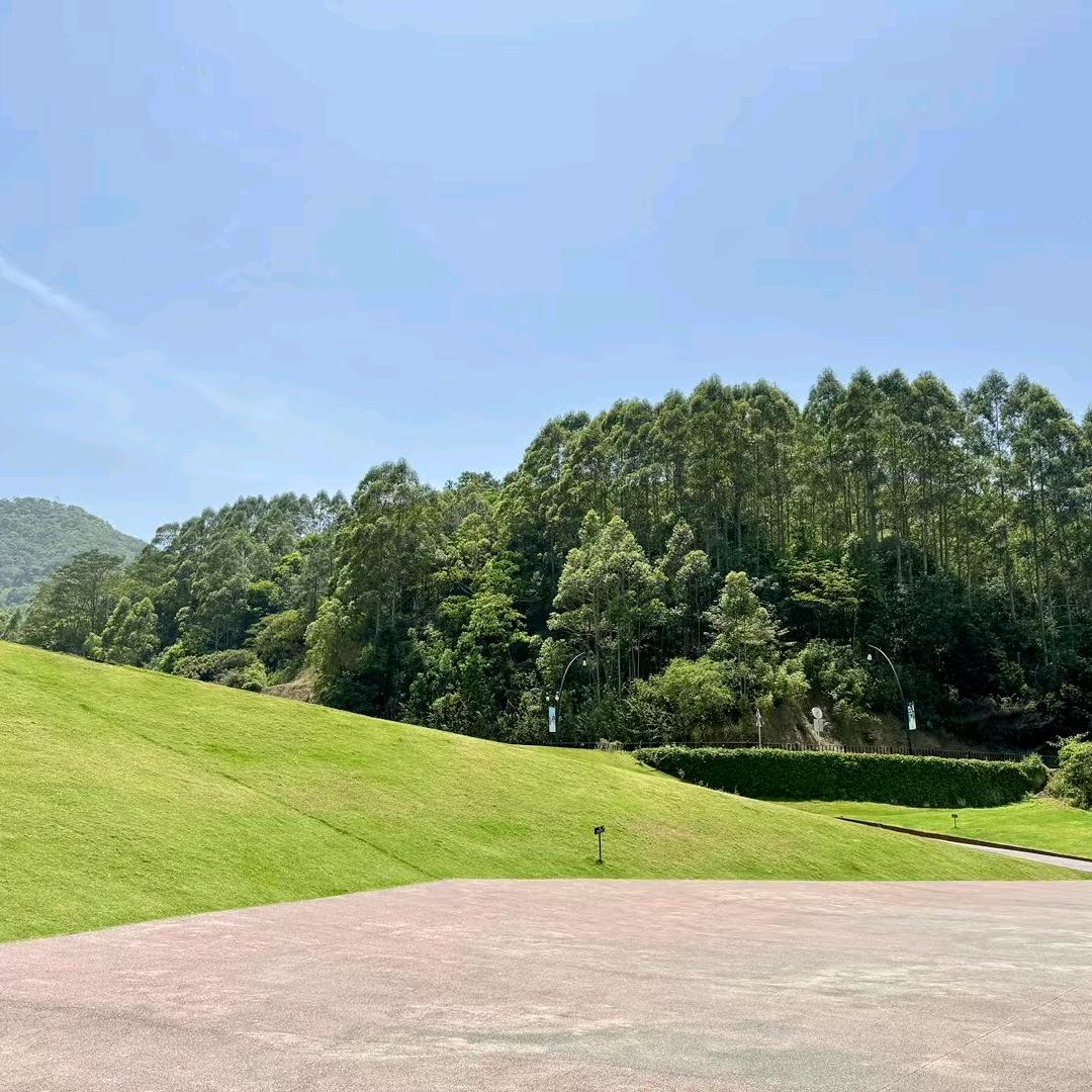 触摸的星光