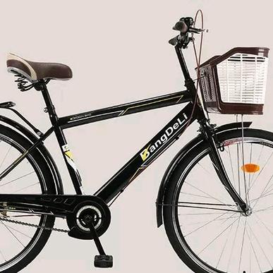 王晓峰(新农人)