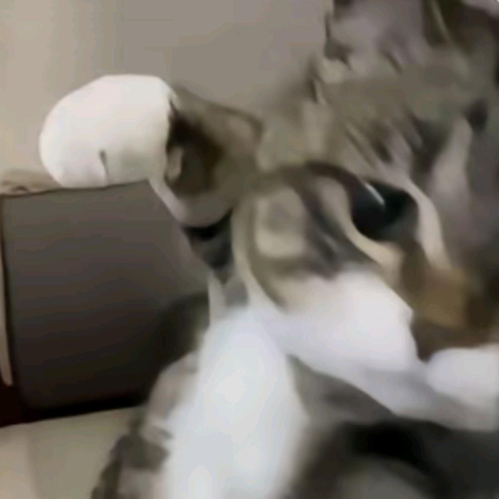 呆小弘