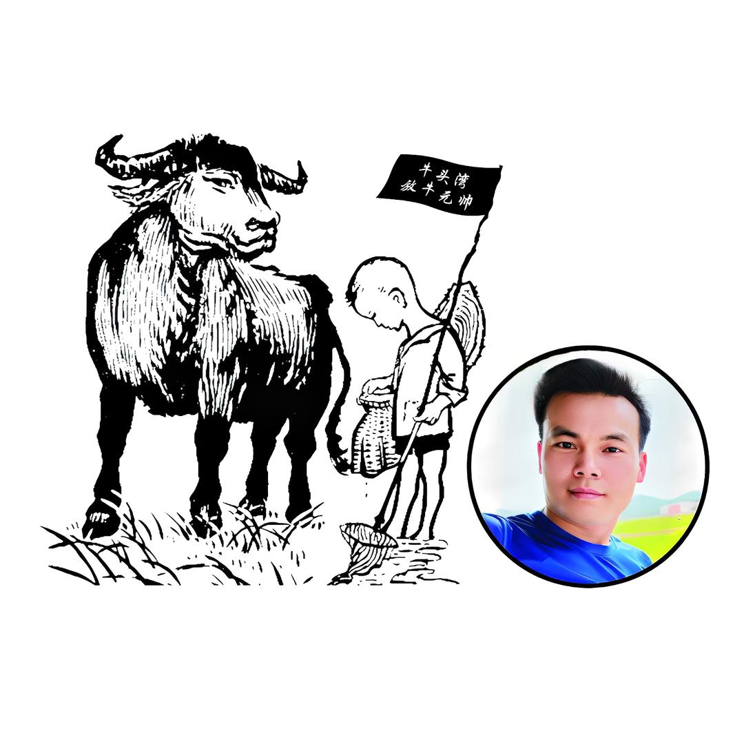 丰恒智能小夜灯.UV彩印(放牛元帅)