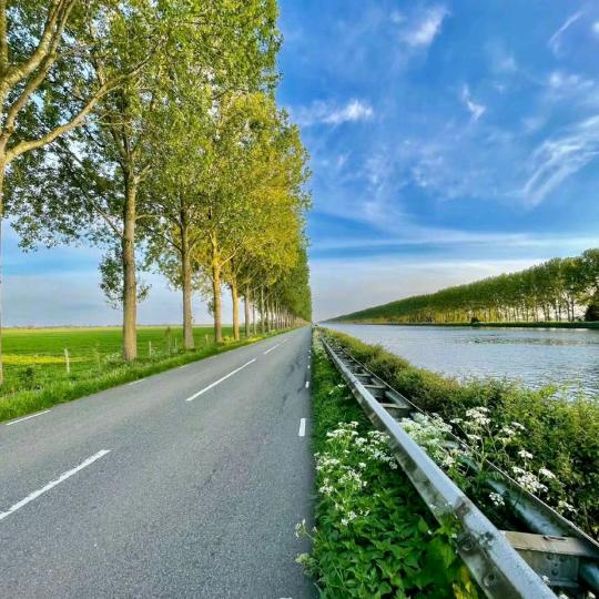 你想骂我发现根本说不了话的样子很好笑