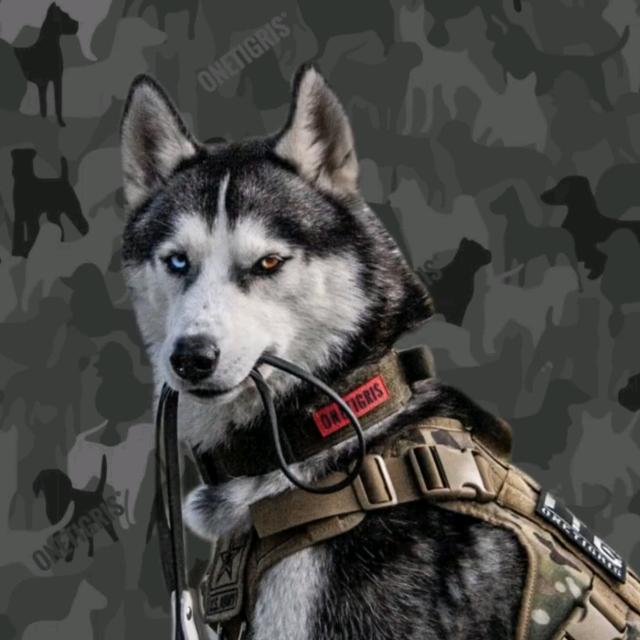 1433