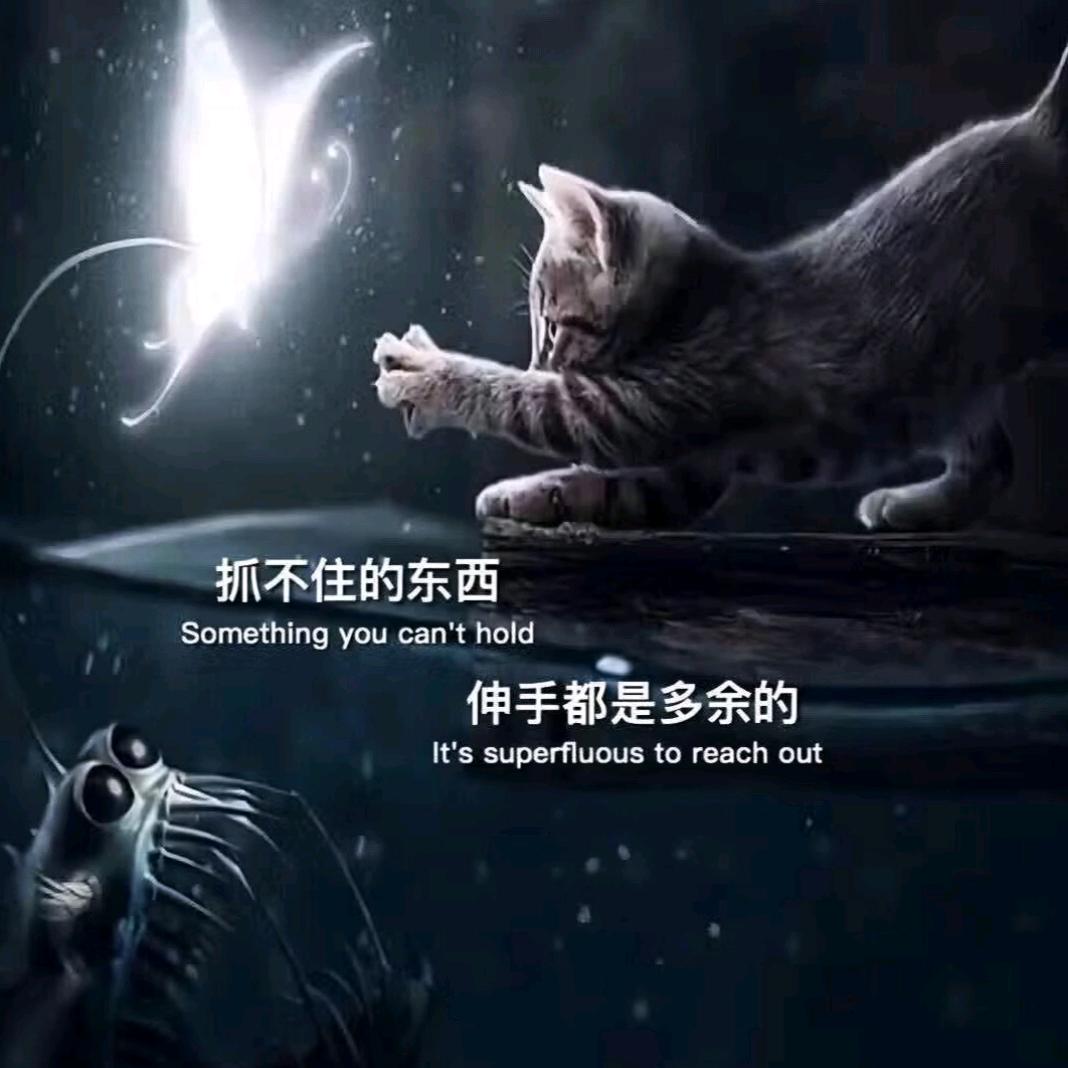 🥀এ᭄疯ꦿ哥💔ོ࿐ᩚ