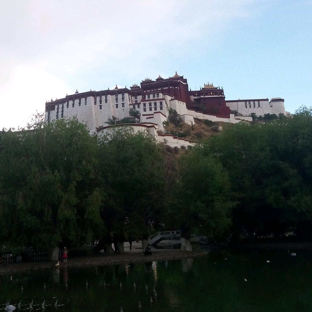 糊涂