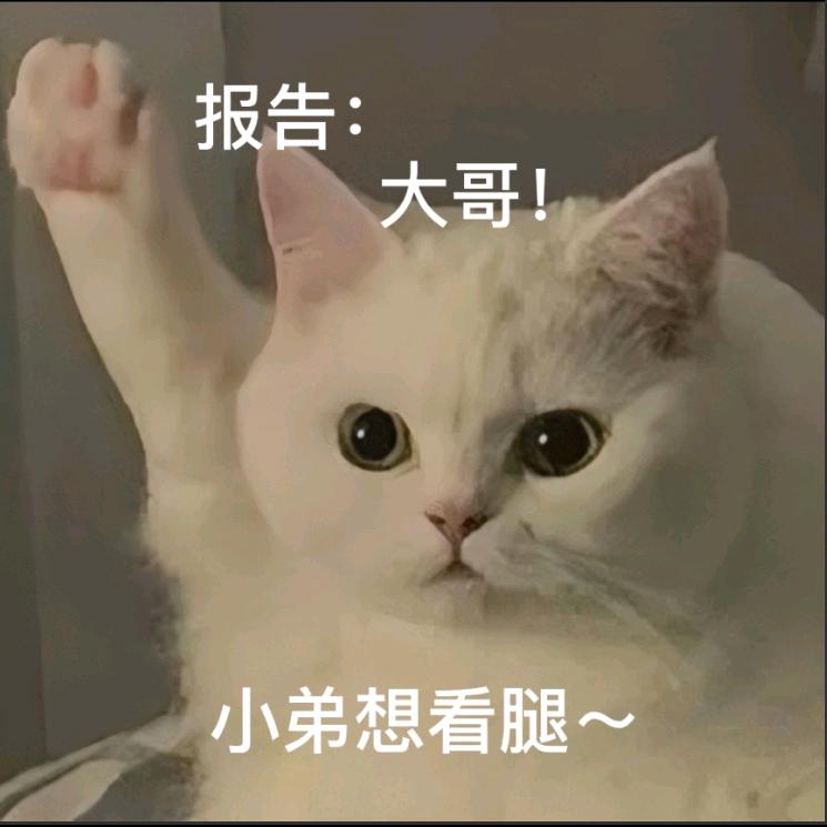 吃颗糖糖儿ᝰ