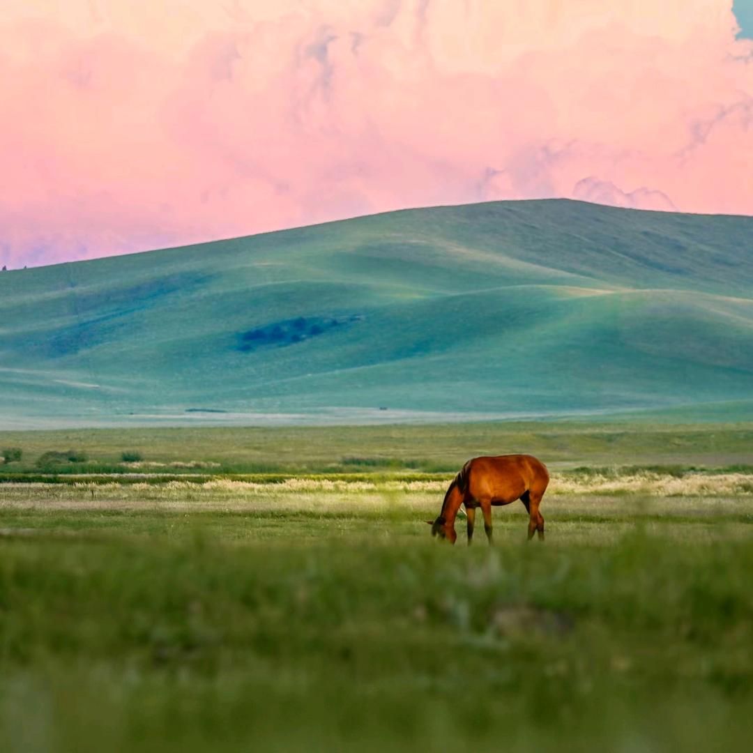 莉莉要争气再争气