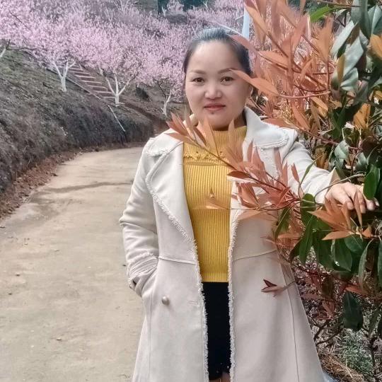 梦瑶首播