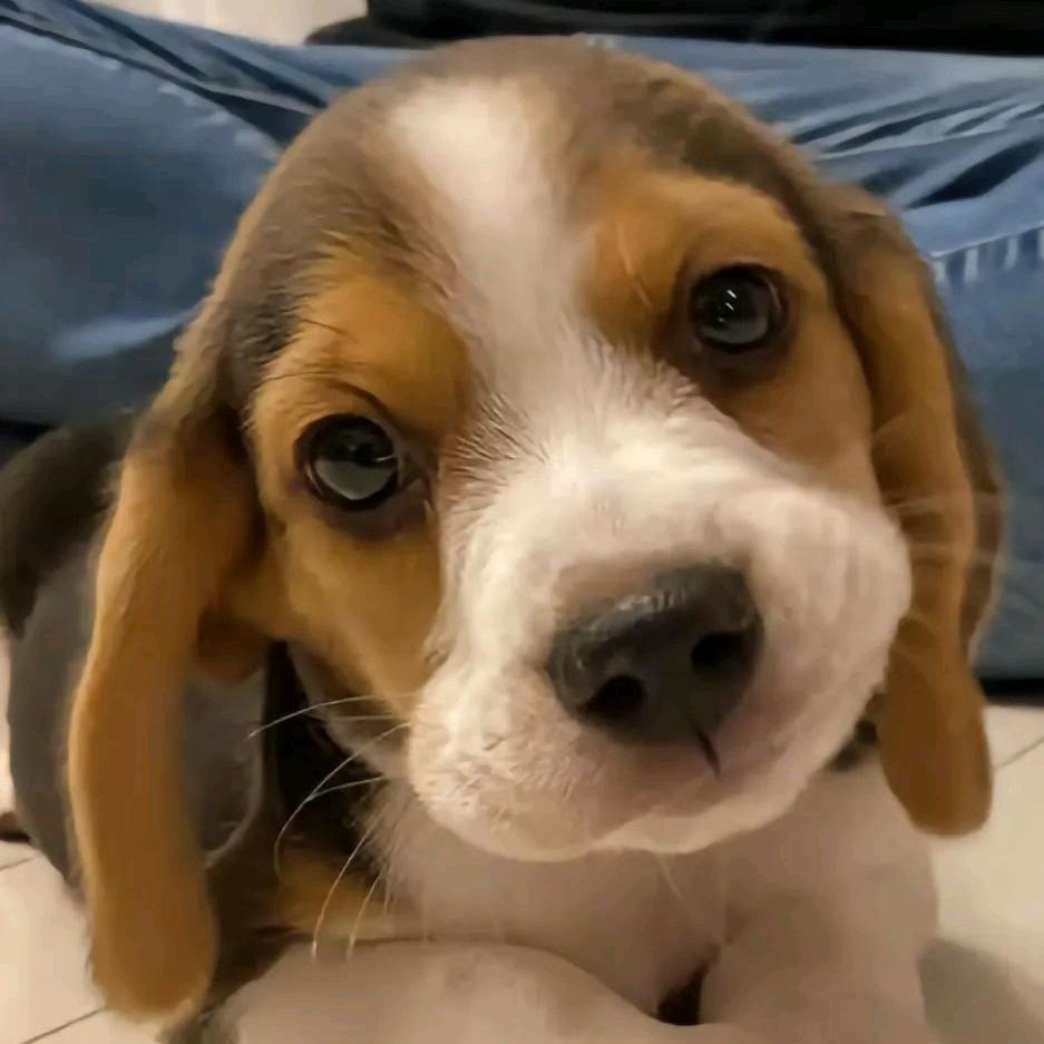 比啥都强格一点