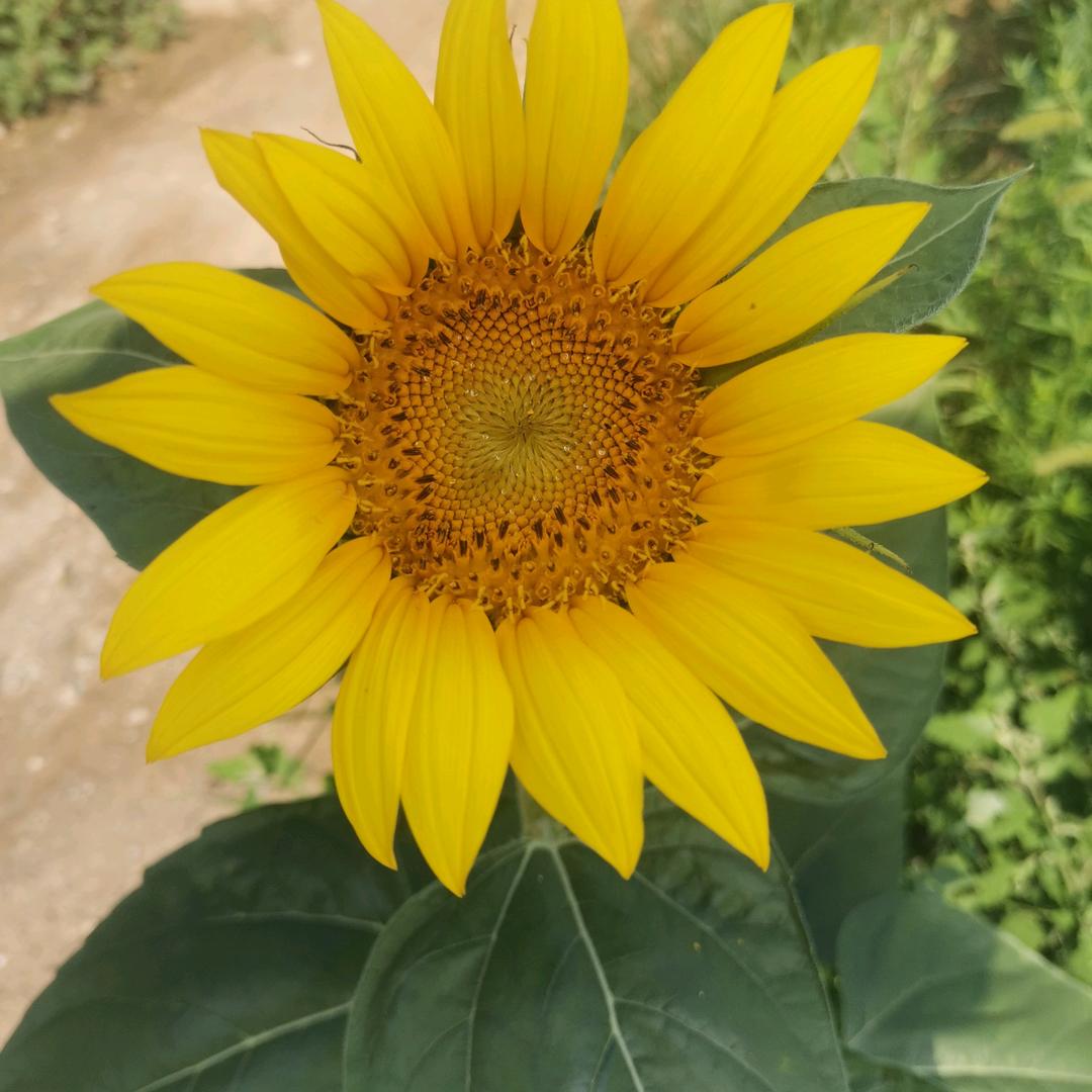 迷迷糊糊