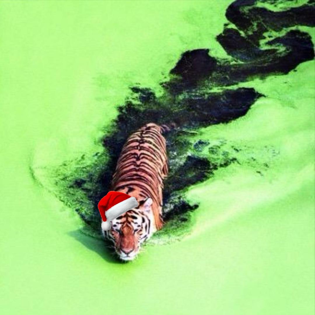 问题的答案是艾迪