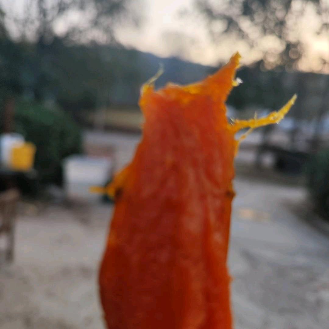 老高的土地