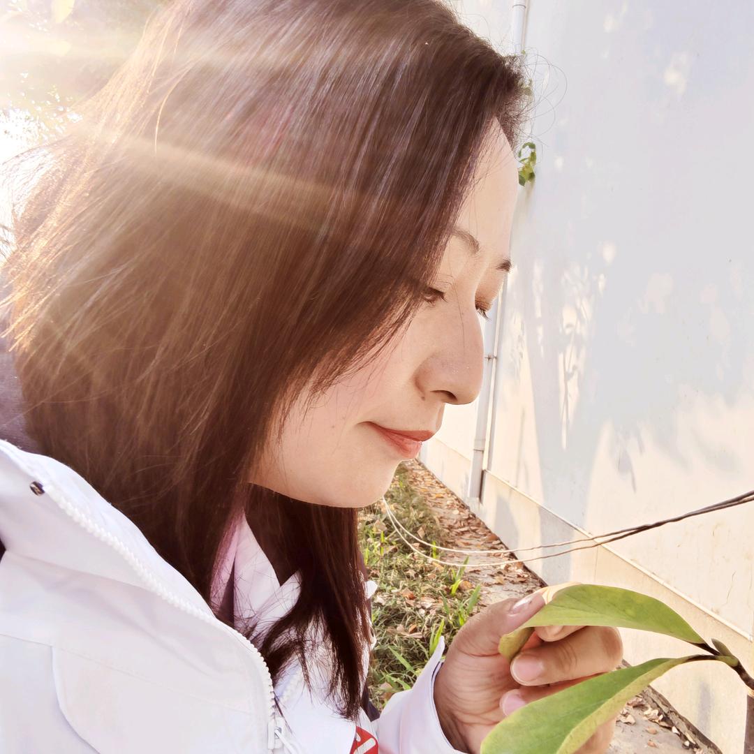 茉莉花💛