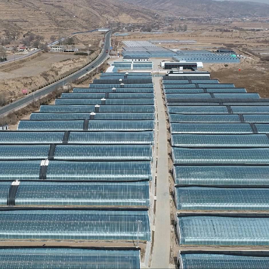 西北棚匠智慧农业