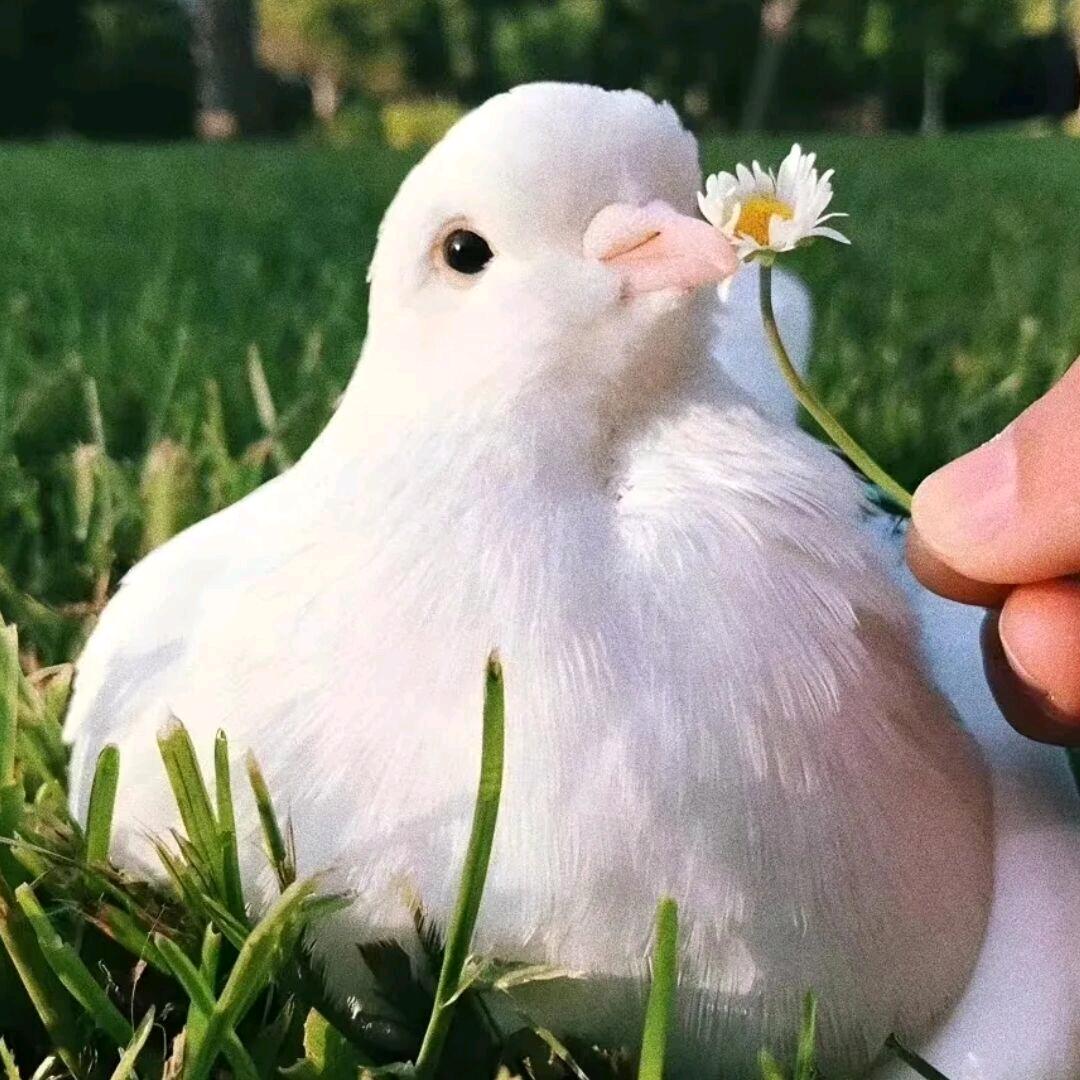 她说、