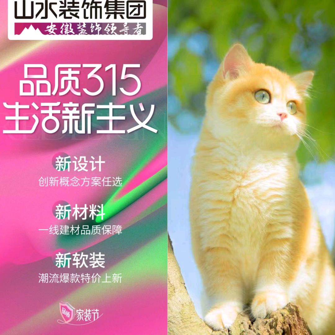 山水空间装饰| 六安公司