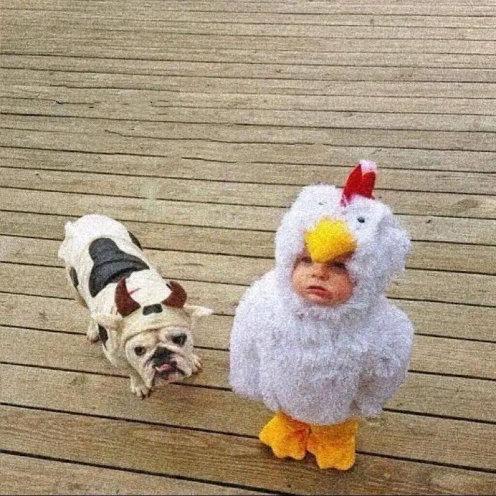 YyRobin.
