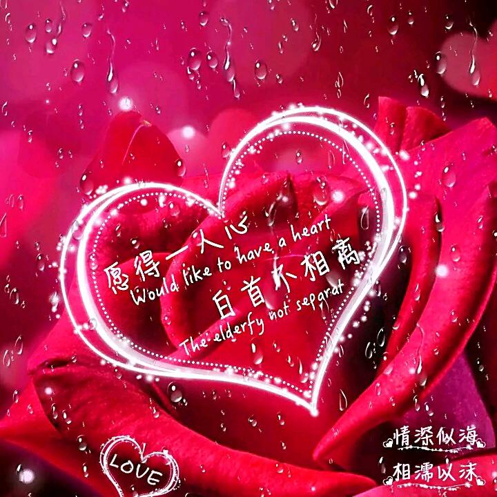 用户4796804102997小红花头像