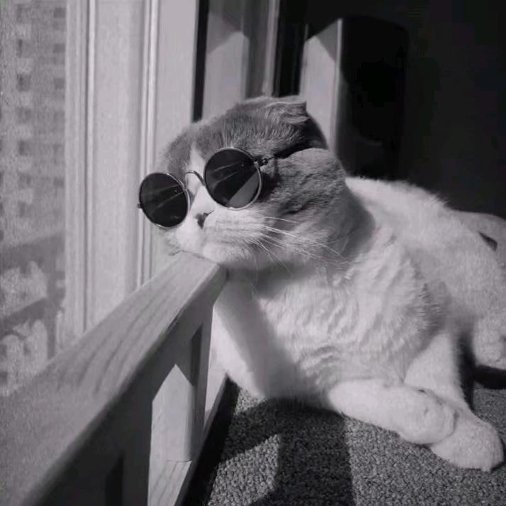 ℳঞ 一生ꦿ有你 ໌້ᮨ꧔ꦿ᭄💕