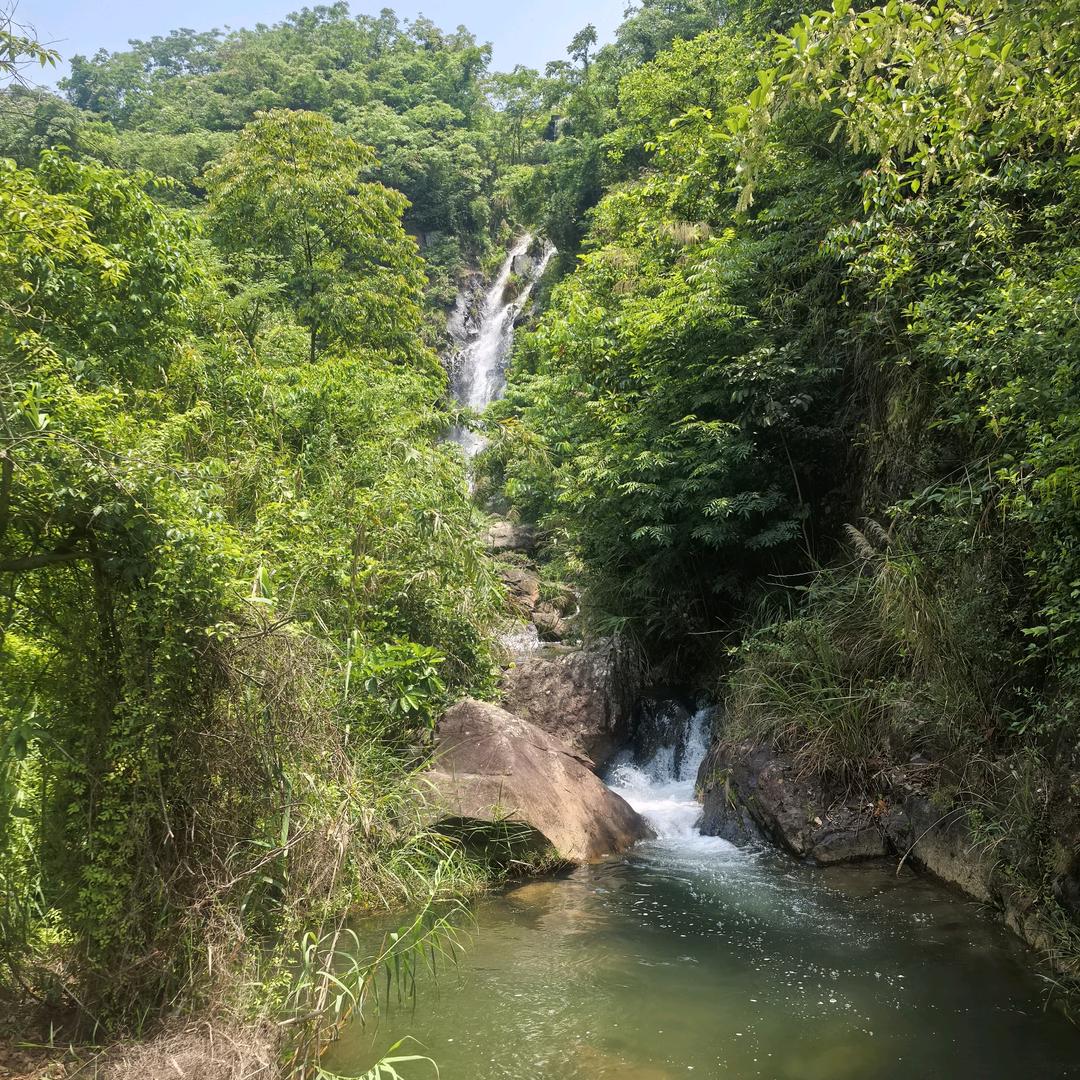 何云勇