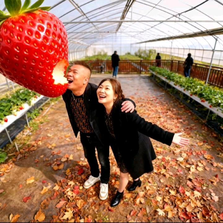 裂缝中的阳光🇨🇳