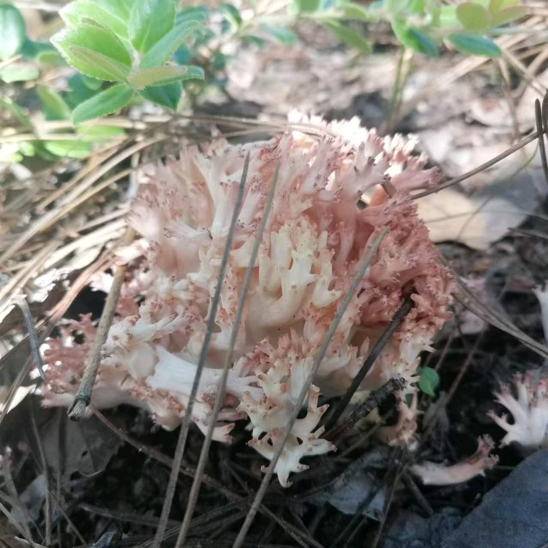 拾味云南