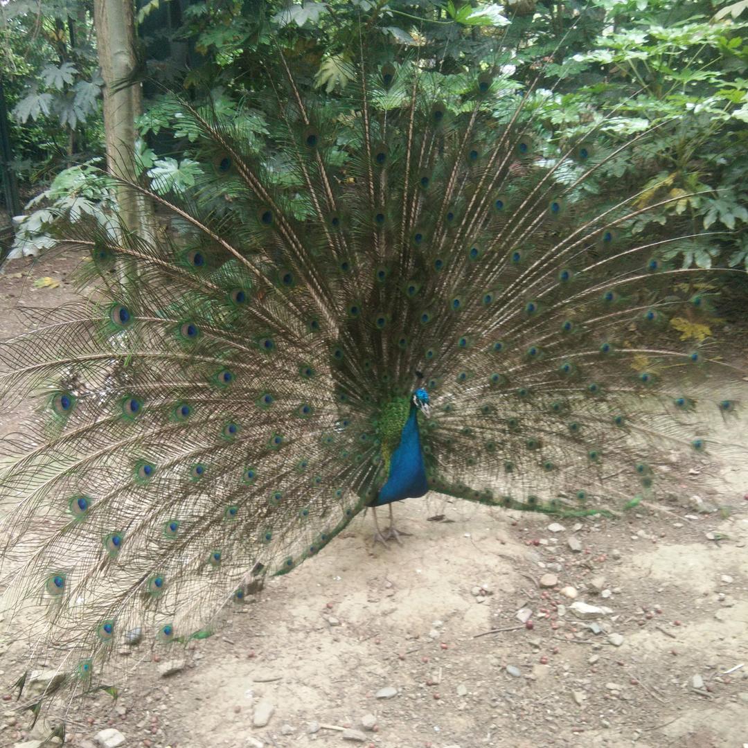 🥀ℒᎭ遇见是缘分ℯꦿ҉᭄࿚ནོ